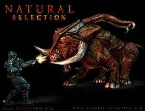 Natural Selection 2: Developer Commentary