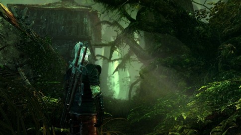 The Witcher 2 Leaked Online, Causes Uproar From Gamers