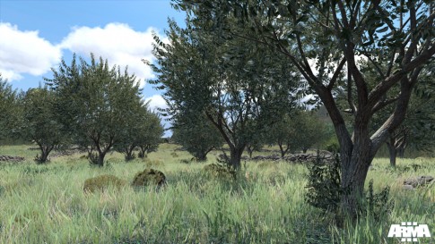 First 4 In-Game Screens From ArmA 3