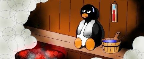 Steaming Hot Linux Gamers