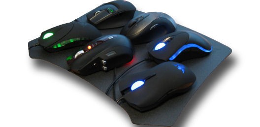 The Great Mouse Showdown
