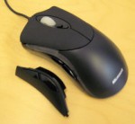 The Great Mouse Showdown