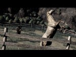Red Dead Redemption