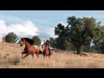 Red Dead Redemption