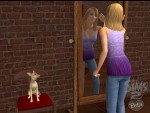 The Sims 2: Pets