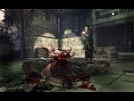 Afterfall: Insanity