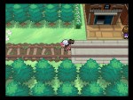 Pokemon Black & White