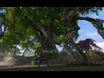 Rift: Planes of Telara