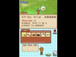 Harvest Moon: Grand Bazaar
