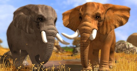 Wildlife Park 3