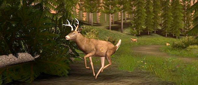 Deer Drive