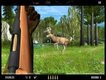 Deer Drive
