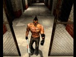 Manhunt