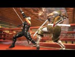 Ninja Gaiden 2