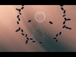 Splice