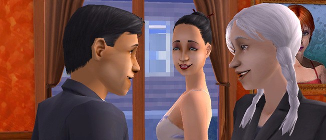 The Sims Life Stories