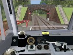 Train Driver