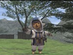 Final Fantasy XI Online