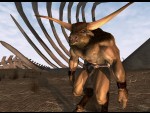EverQuest II