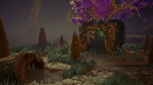 Conarium