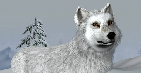 Nancy Drew: The White Wolf of Icicle Creek