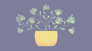 A Little to the Left