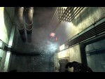 Twin Sector